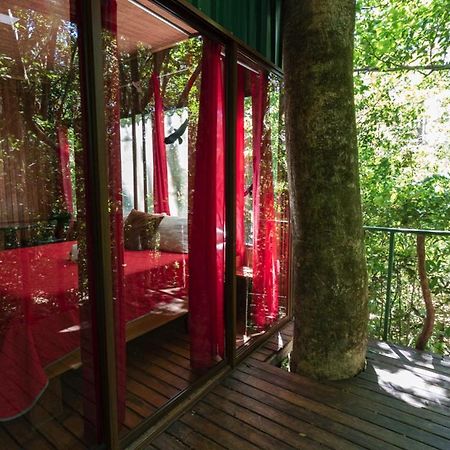 The Green Tree Lodge Monteverde Exterior foto