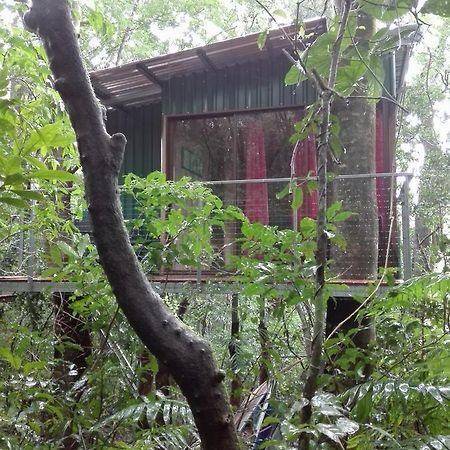 The Green Tree Lodge Monteverde Exterior foto