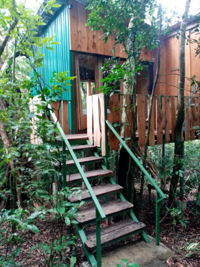 The Green Tree Lodge Monteverde Exterior foto
