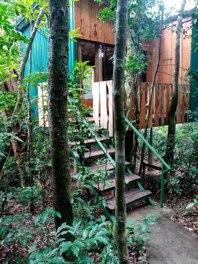 The Green Tree Lodge Monteverde Exterior foto