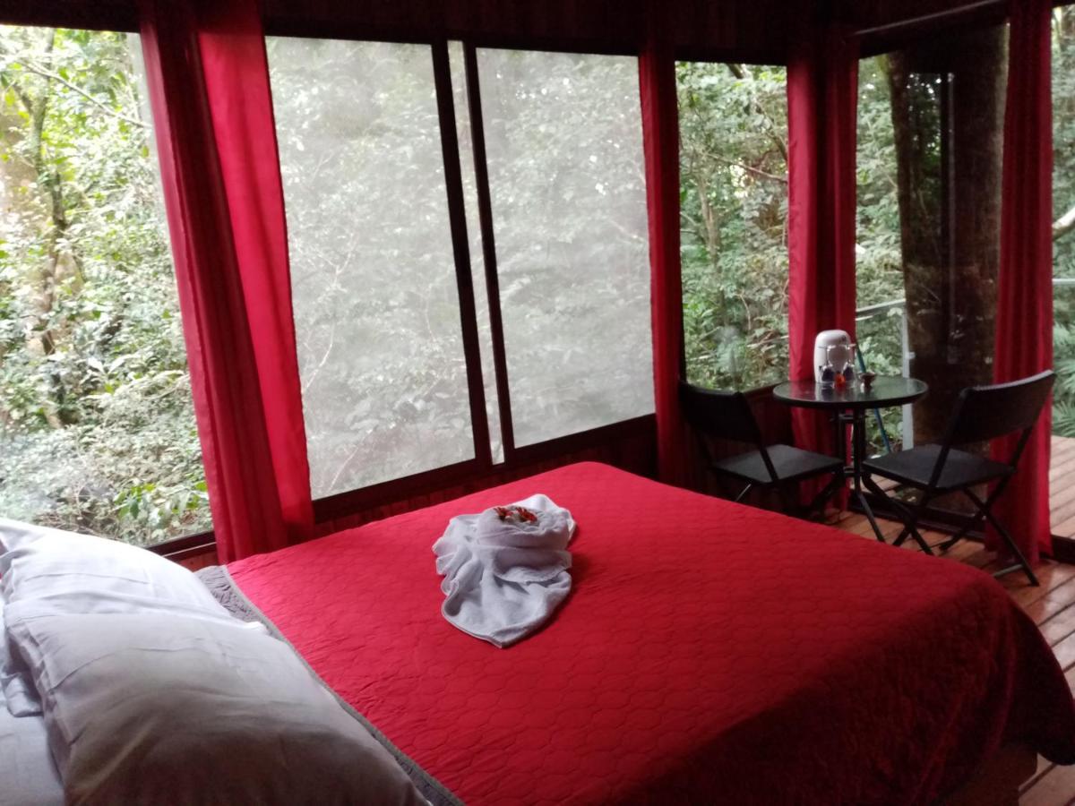 The Green Tree Lodge Monteverde Exterior foto