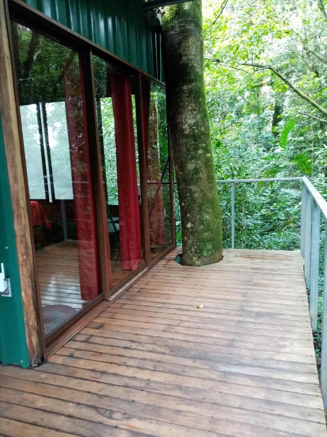 The Green Tree Lodge Monteverde Exterior foto