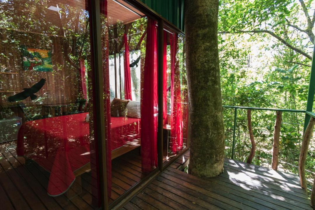 The Green Tree Lodge Monteverde Exterior foto