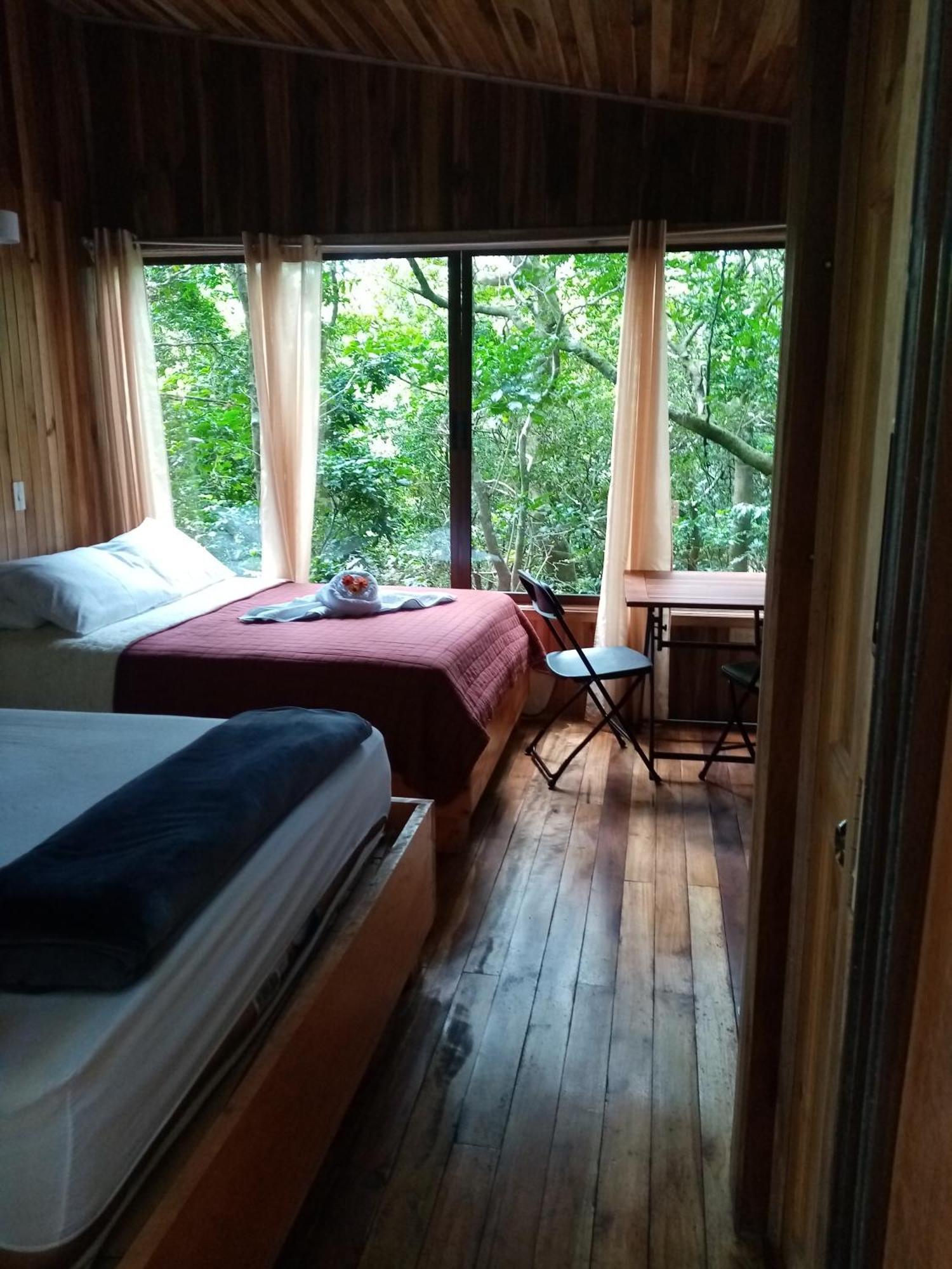The Green Tree Lodge Monteverde Quarto foto