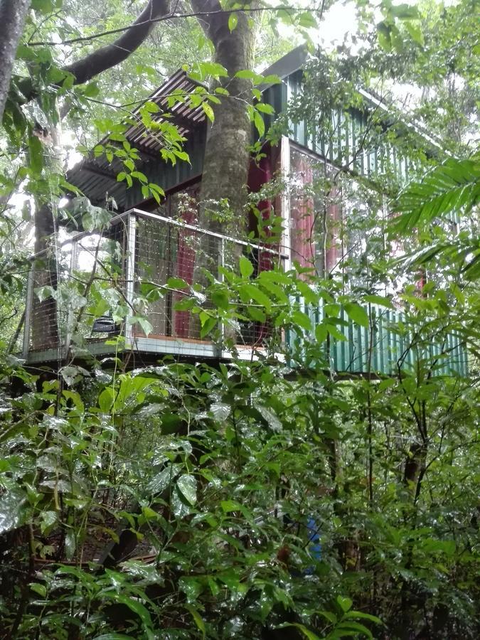 The Green Tree Lodge Monteverde Exterior foto