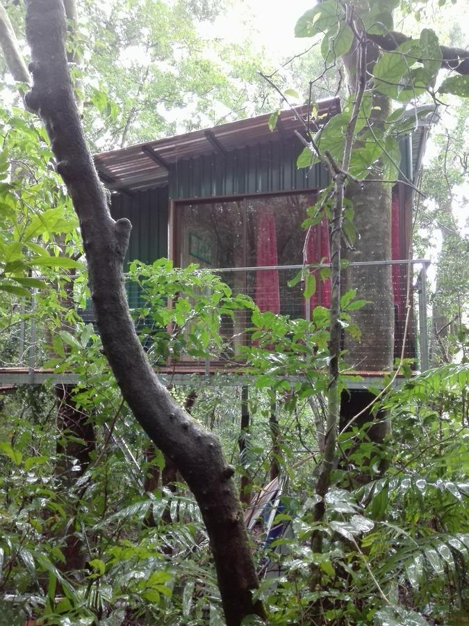 The Green Tree Lodge Monteverde Exterior foto