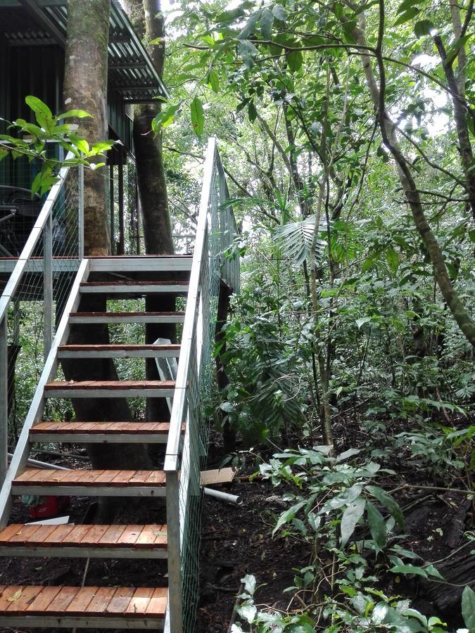 The Green Tree Lodge Monteverde Exterior foto