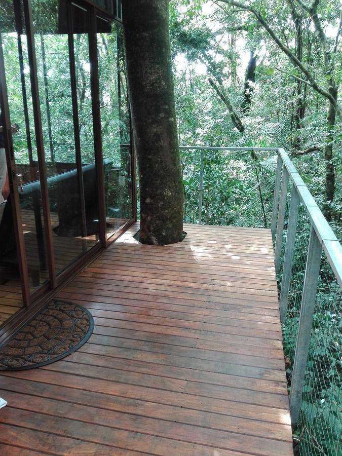 The Green Tree Lodge Monteverde Exterior foto
