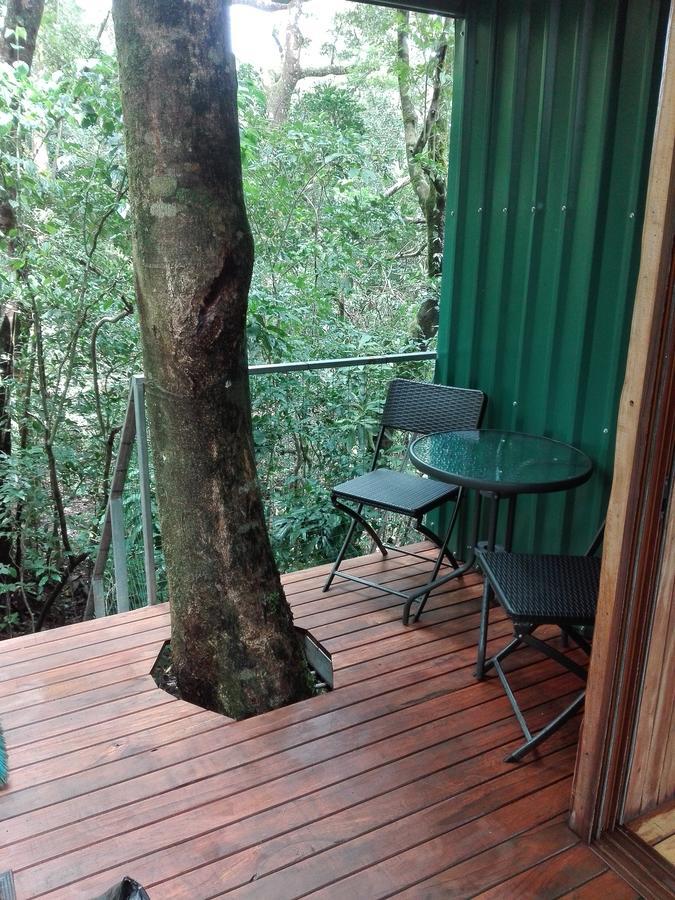 The Green Tree Lodge Monteverde Exterior foto