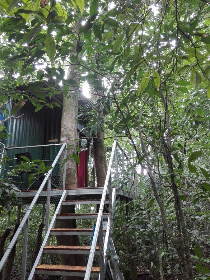 The Green Tree Lodge Monteverde Exterior foto