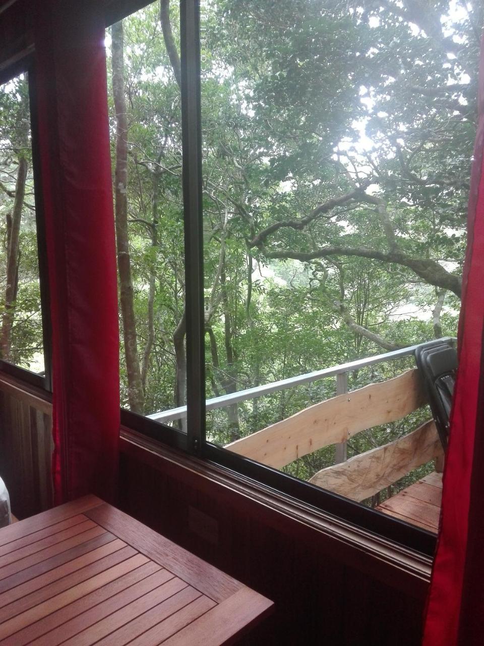 The Green Tree Lodge Monteverde Exterior foto