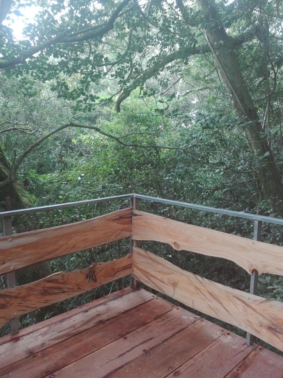 The Green Tree Lodge Monteverde Exterior foto