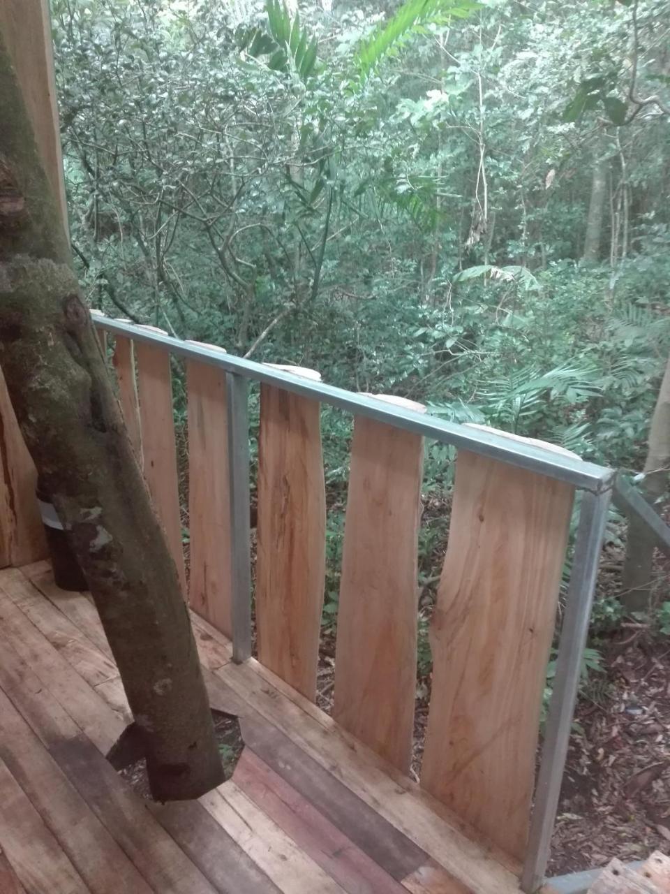 The Green Tree Lodge Monteverde Exterior foto